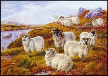 unknow artist Sheep 063 Sweden oil painting art